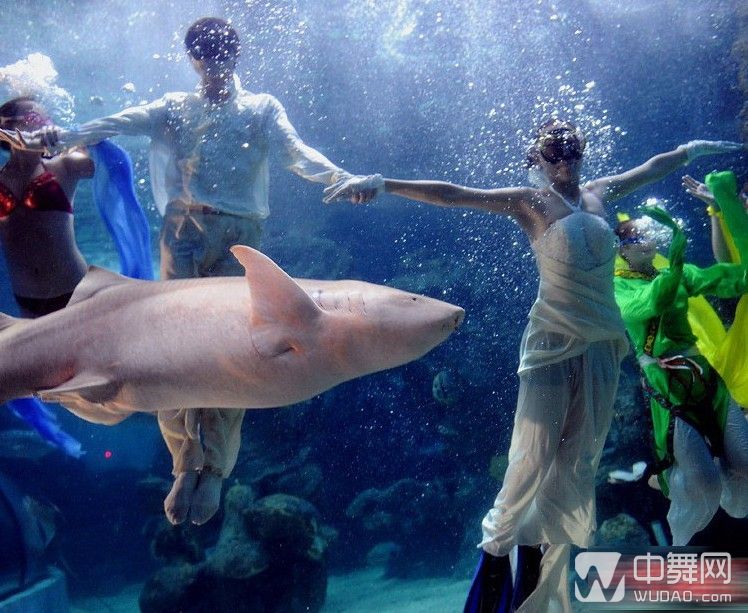 俄罗斯芭蕾舞美女上演水下时装秀