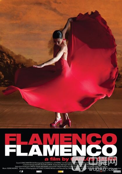 舞蹈电影《弗拉门戈 flamenco》