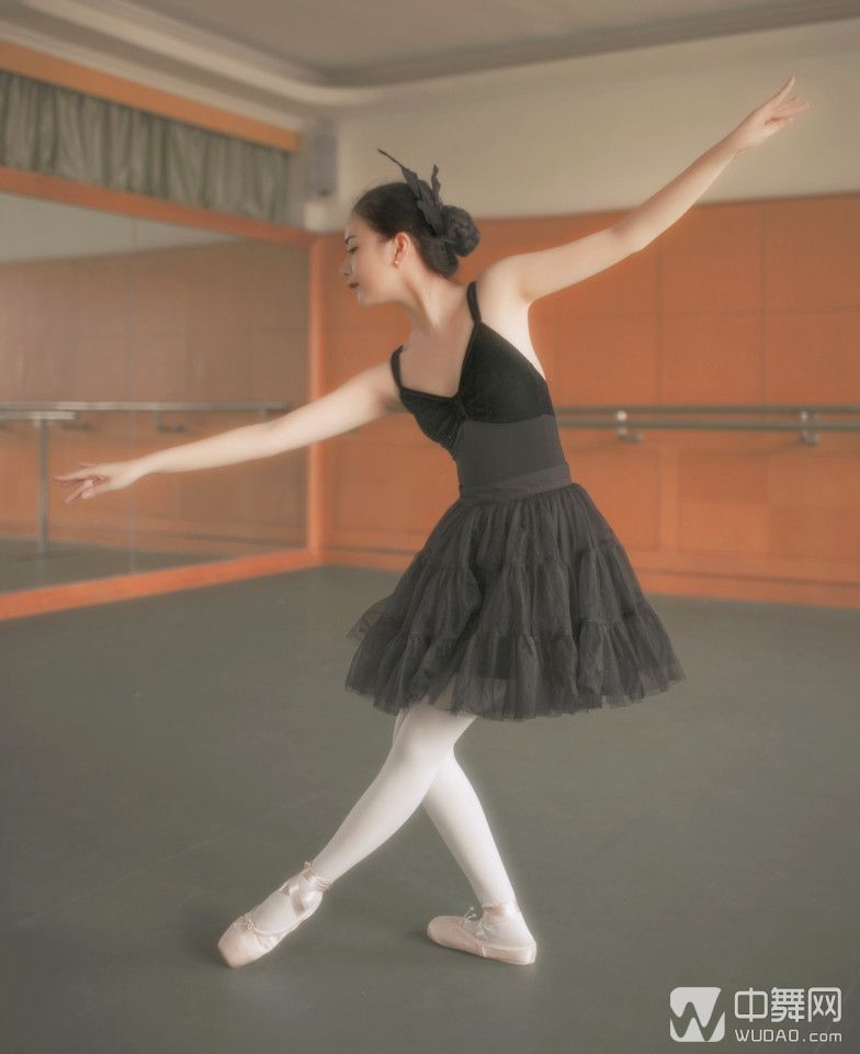 芭蕾舞12个基本动作训练