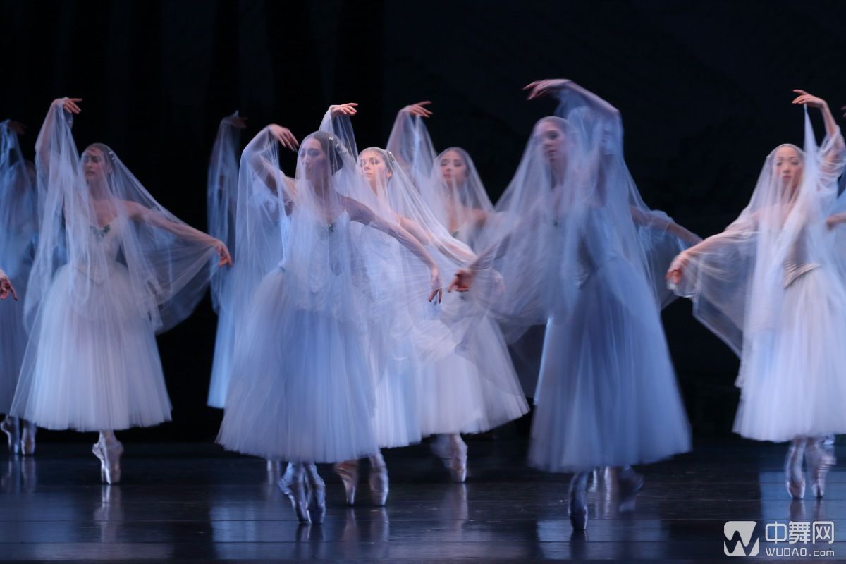 芭蕾版"人鬼情未了"浪漫起舞 《吉赛尔》高清剧照