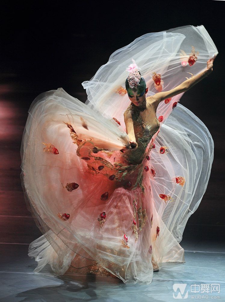 【高清美图】舞蹈艺术家杨丽萍领衔主演舞剧《孔雀》七月屏开台湾