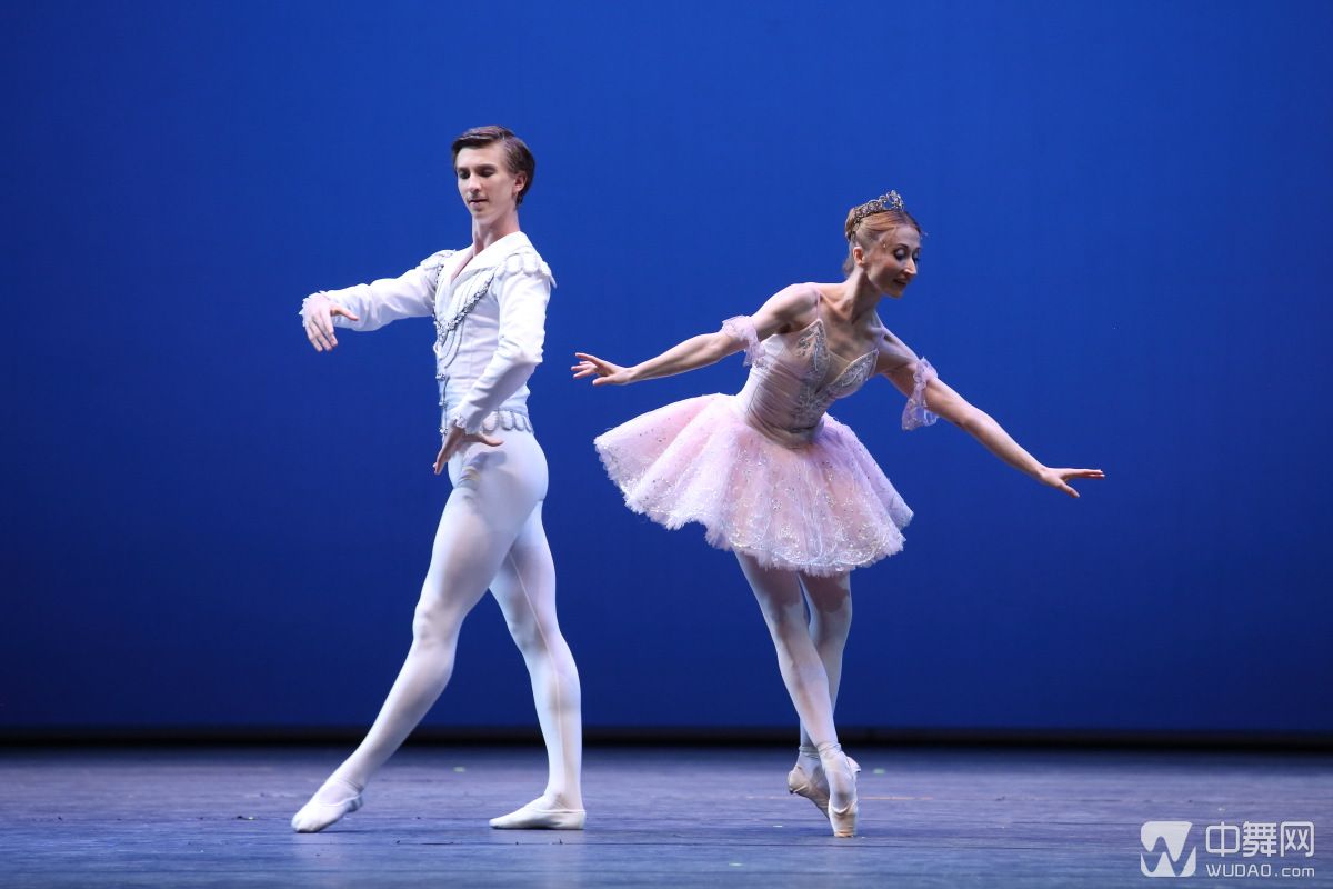 编舞比赛芭蕾荟萃第一场 群星荟萃-舞蹈相关-舞蹈说-爱一格旗下舞蹈网