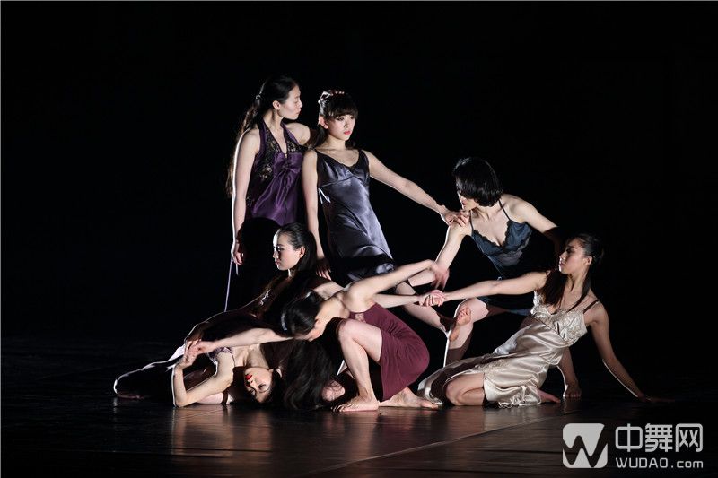 金星舞蹈团现代舞《三位一体》二度来京 自由之舞探讨爱的束缚与表达