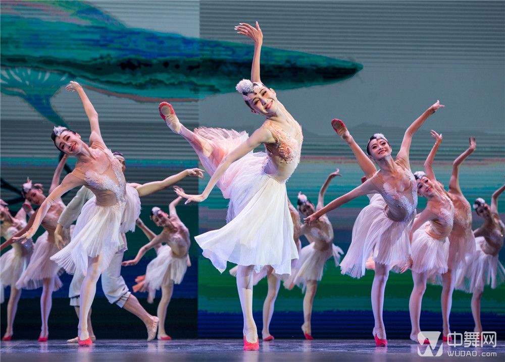 【高清美图】舞动中国2016中国舞蹈新人新作晚会